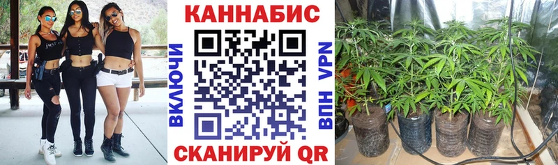 ГАШ Ефремов