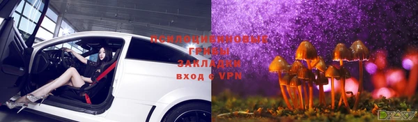 СК Горняк