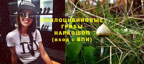 СК Горняк