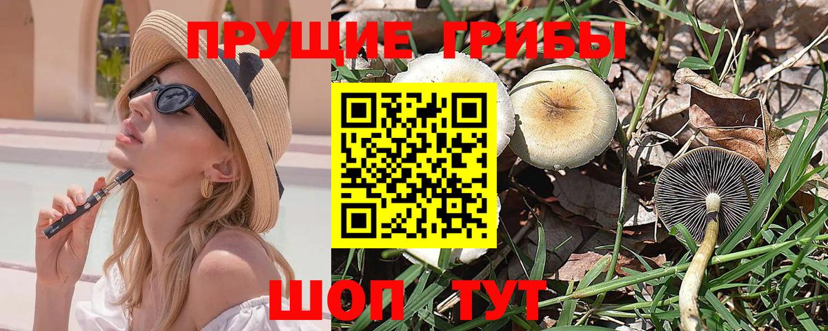 Псилоцибиновые грибы мухоморы  Ефремов 