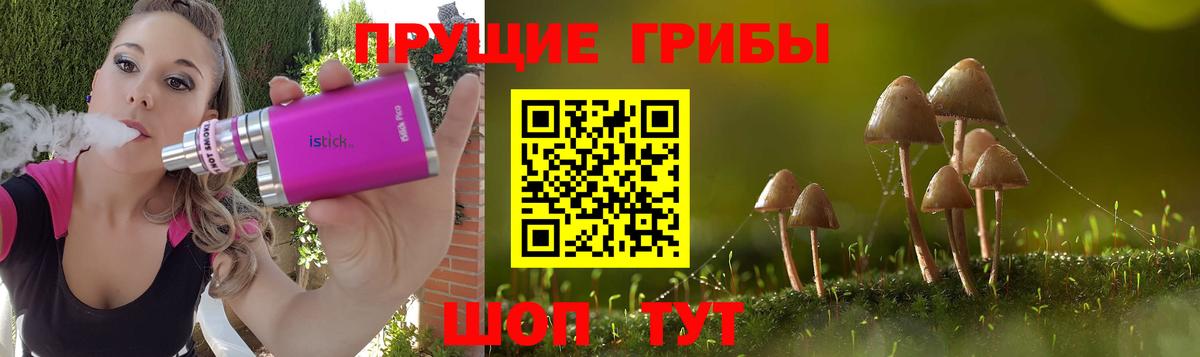 Галлюциногенные грибы мицелий Ефремов